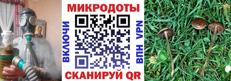 гидра сайт  даркнет как зайти  Галлюциногенные грибы MAGIC MUSHROOMS  Тимашёвск 